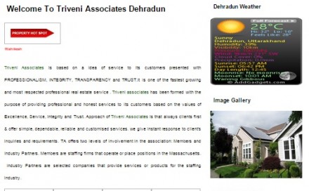Triveni Associates